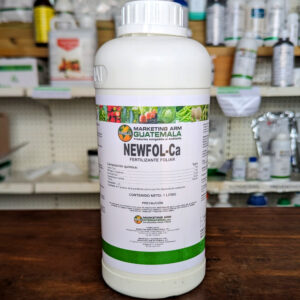 NewFol Ca